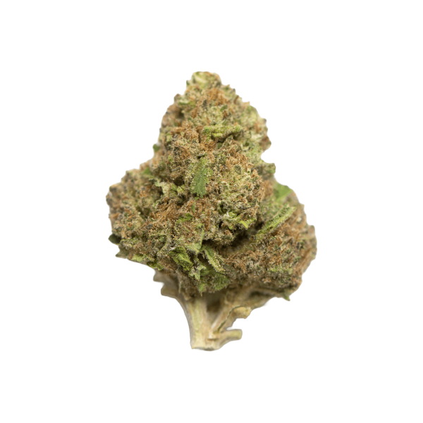THCP Connie Chung Strain